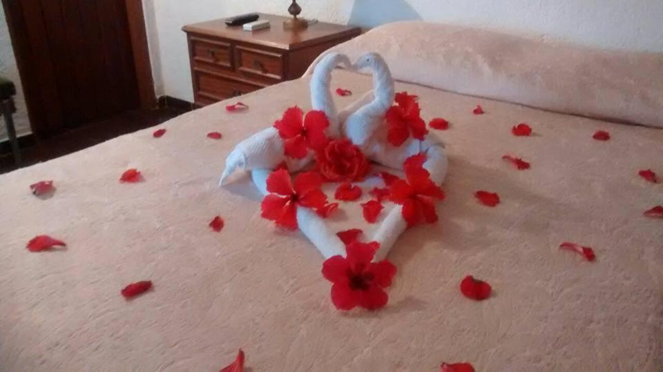 Hotel Fazenda Villa-Forte Engenheiro Passos Zewnętrze zdjęcie